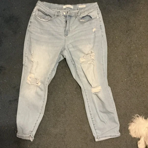 Judy Blue Boyfriend Jeans – Size 18W - Picture 3 of 4